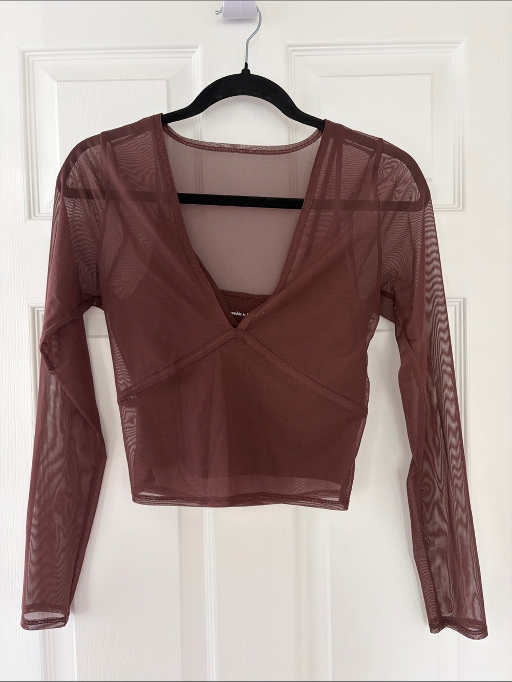 Abercrombie & Fitch Mauve Brown Sheer V‑Neck Long Sleeve Crop Top